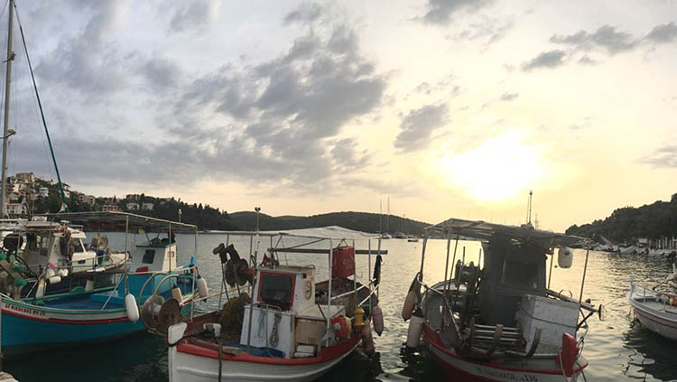 יאכטות בשקיעה