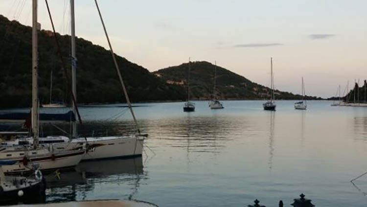 יאכטות במפרץ